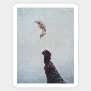 snowy reed Sticker